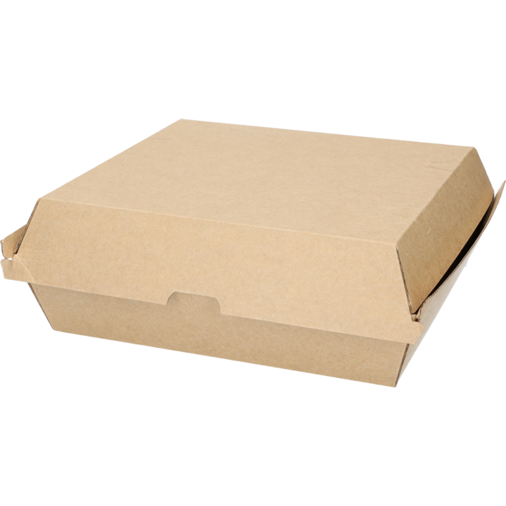 Take Away Box 20x18x7,5cm