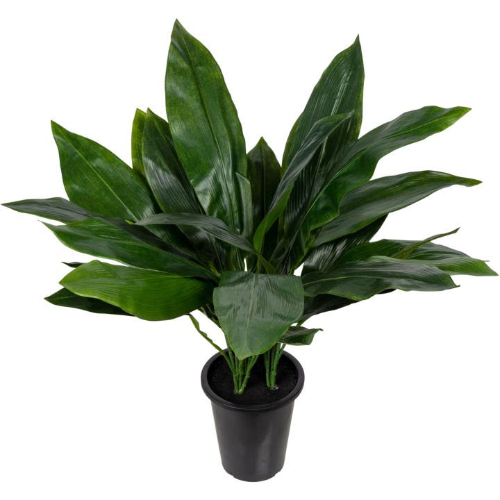 Artificial Plant Aspidistra 75