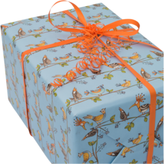 FP4406224 GAVEPEAPIR TROPICAL BIRD