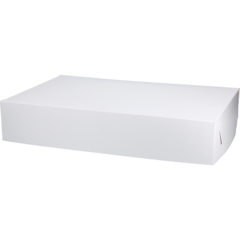 105130459 Kansi (Kakkulaatikkoon 450x300mm)