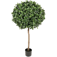 7269135 Konstväxt Lager 135cm