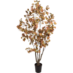 9410180 Konstväxt Lönn 180cm