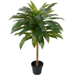 7182100 Konstväxt Dracena 100cm
