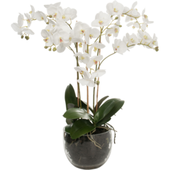 1878101 Konstväxt Orkidé 70cm