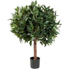 7386080-1 ART. PLANT BAY LAUREL 80CM