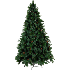 61002 CHRISTMAS TREE TORONTO GREEN