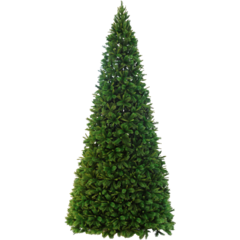 610040 CHRISTMAS TREE COLORADO GREEN