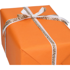 FP4403216 Presentpapper Orange