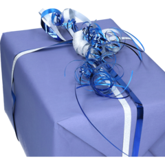 FP4403232 Presentpapper Lila