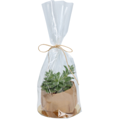 3002160 Cellofanpåse 21x60cm