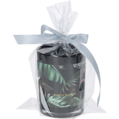 4001525 Cellofanpåse 15x25cm