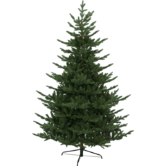 60854 CHRISTMAS TREE BREKSTAD GREEN