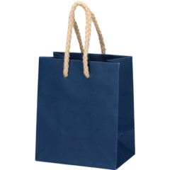 5102229509 LUKSUSKASSI SIN. 10X6,5X12CM