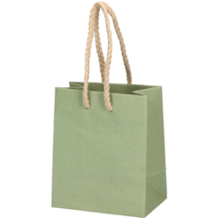 5102233509 LUKSUSKASSI VIHREÄ 10X6,5X12CM