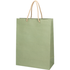 5102234509 LUKSUSKASSI VIHREÄ 22X10X29CM