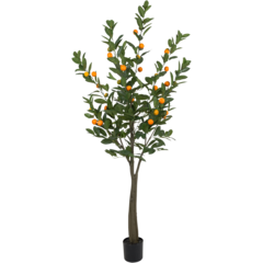 7012180 Konstväxt Citrus 180cm
