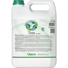 169013 Mattrengöringsmedel Gipeco Trust 5L