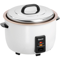 BA150533 RIISINKEITIN