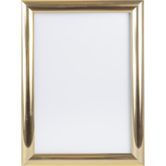 DL04 Väggram aluminium guld polerad 25mm