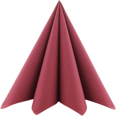 AM93552 Mank Servett 40x40cm