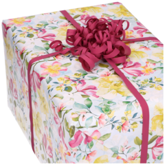 FP4406394 GAVEPAPIR SUMMER BURST