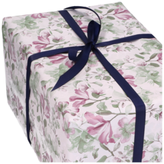 FP4406362 GAVEPAPIR ENYA