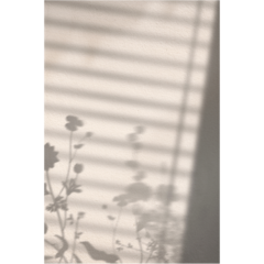 VD60048 Poster Flower Shadow