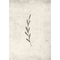 VD60051 Venture Poster Autumn Leaf