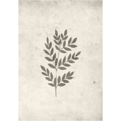 VD60052 Venture Poster Spring Leaf