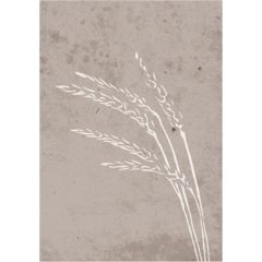 VD60058 Poster Seeds