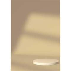 VD60065 Poster Window Light