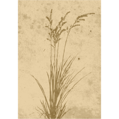 VD60069 Poster Plant Art