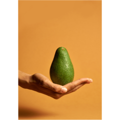 VD60084 Poster Avocado