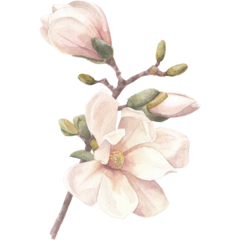 VD60092 Poster Hand Made