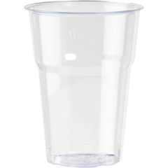 119153396 PLASTGLASS 25CL