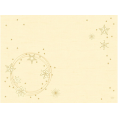 119200825 PLACEMAT STAR SHINE 30X40CM*