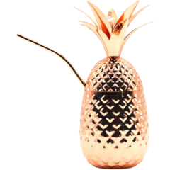 10801600COP Mugg Ananas M. Sugrör 455ml*