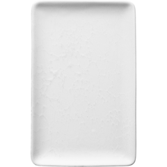 AI16008 Raw Arctic Hvit Tallerken
