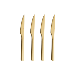 AI14786 Raw Chef.s Knife Set of 4 - 23 cm