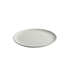 AI16010 Raw Arctic White Plate