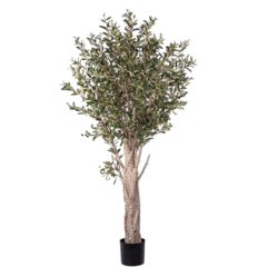 7336190 Konstväxt Olivträd 190cm