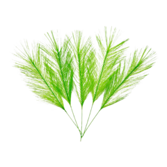 HIS78040 Hisab Easter Feathers 5-Pack