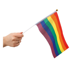 HIS78682 Rainbow Hand Flag 6P (12)