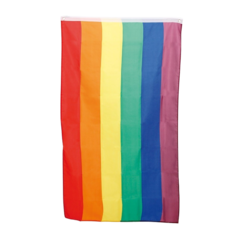 HIS13 Flagga Rainbow