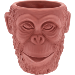 VC55 Ytterkruka Calbe Gorilla