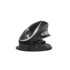 BNEOYMW Mus Oyster Wireless