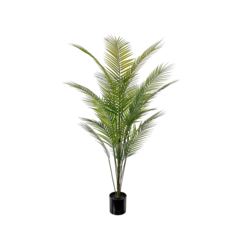 P3113140 Konstväxt Bergspalm 140cm
