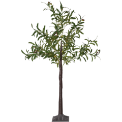 STR04 Star Trading Olivec Träd