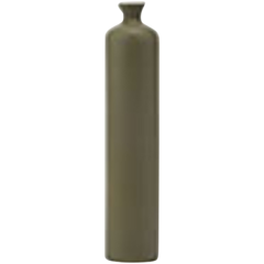 BI4223040 Cosy Vas Skinny 29cm Grön