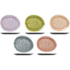 BI5321028 Tallrik Cosy Melamin 5st 27,5x23cm